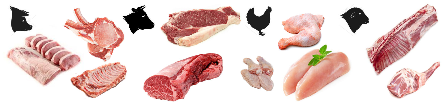 Venta de carnes y jamones Mayoristas