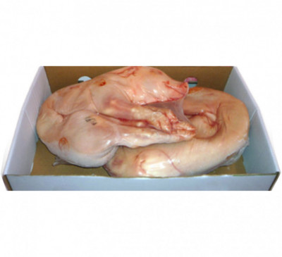 COCHINILLO 5-6